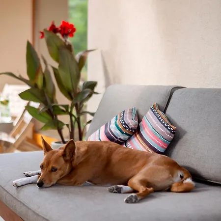 Slapy Hrdlicka Holiday home *